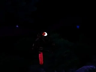Hinata insect